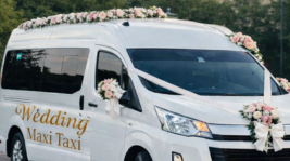 Hybrid Taxi